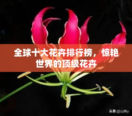 全球十大花卉排行榜,惊艳世界的顶级花卉