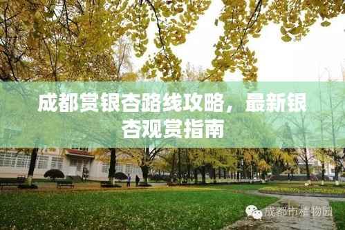 成都赏银杏路线攻略,最新银杏观赏指南