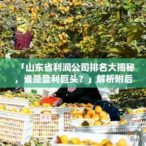 「山东省利润公司排名大揭秘,谁是盈利巨头?」解析附后