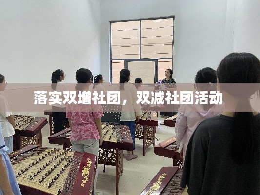 落实双增社团,双减社团活动