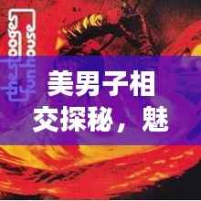 美男子相交探秘,魅力之交的奥秘全解析