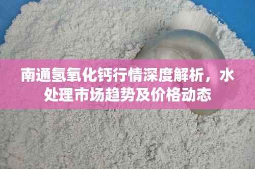 南通氢氧化钙行情深度解析,水处理市场趋势及价格动态