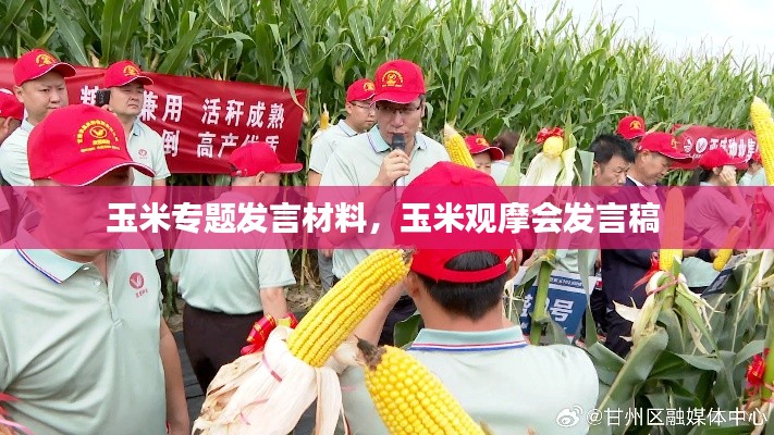 玉米专题发言材料,玉米观摩会发言稿