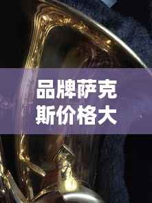 品牌萨克斯价格大解析,不同品牌萨克斯的价值与价格对比!