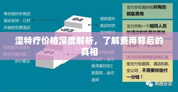 湿特疗价格深度解析,了解费用背后的真相