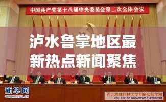 泸水鲁掌地区最新热点新闻聚焦