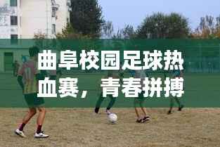 一张一翕 第4页