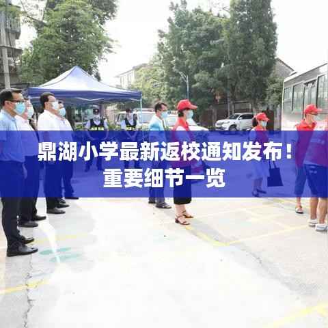 鼎湖小学最新返校通知发布!重要细节一览