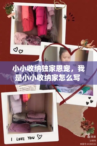 小小收纳独家恩宠,我是小小收纳家怎么写
