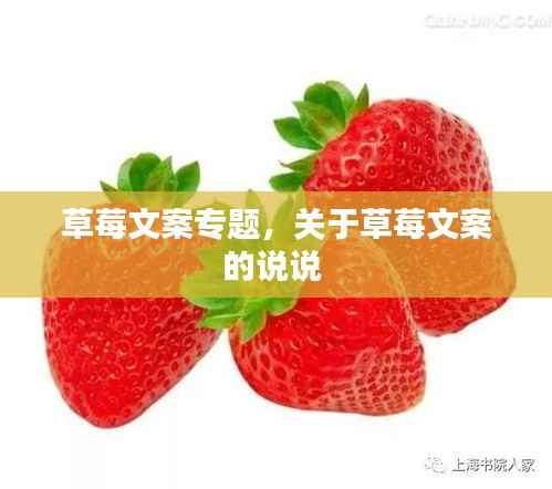 没张倒置 第4页