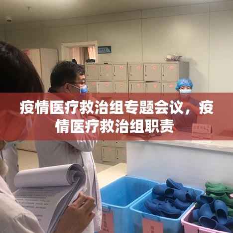 疫情医疗救治组专题会议,疫情医疗救治组职责