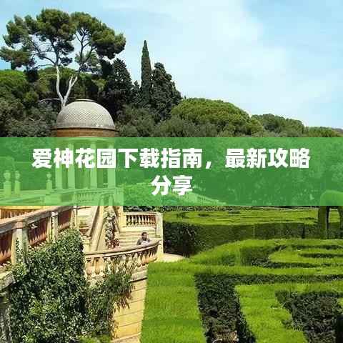 将机就机 第4页