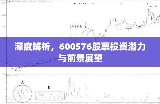 深度解析,600576股票投资潜力与前景展望