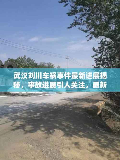 武汉刘川车祸事件最新进展揭秘，事故进展引人关注，最新动态一网打尽！