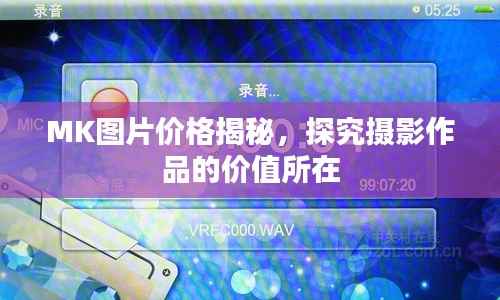 MK图片价格揭秘,探究摄影作品的价值所在